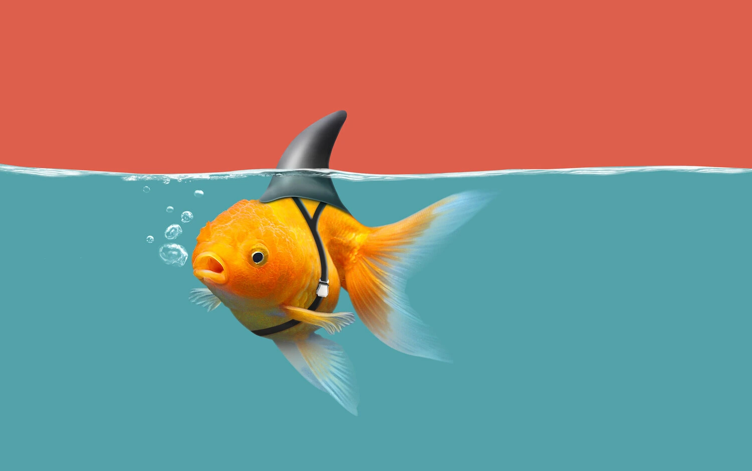 Cybersecurity "Professionals" - Reboot Needed