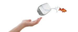 adaptible