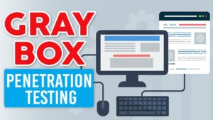 Gray Box Penetration Testing