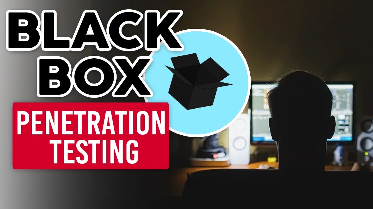Black Box Penetration Testing